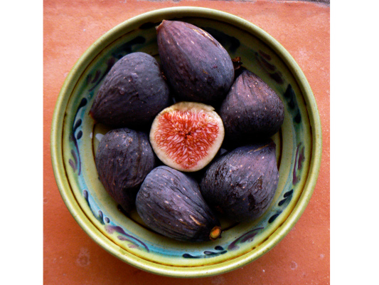 Figs